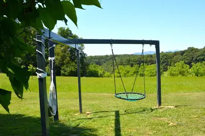 a swing in the middle of a field at Domačija Vrški in Slovenska Bistrica