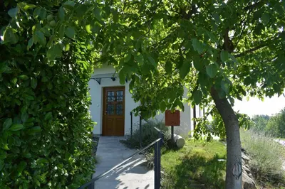 a house with a door and a tree at Domačija Vrški in Slovenska Bistrica