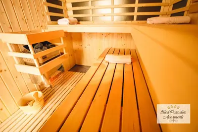 a room with a sauna with a toilet in it at Wellness Paradise Apartment in Bled