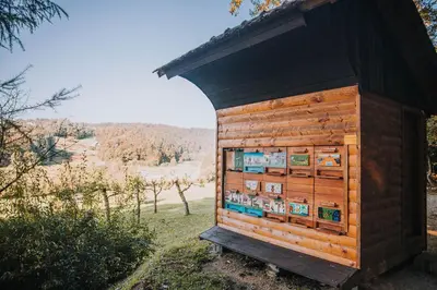 a small wooden building with signs on it at Sleeping with bees - Tourist farm Muha in Grosuplje