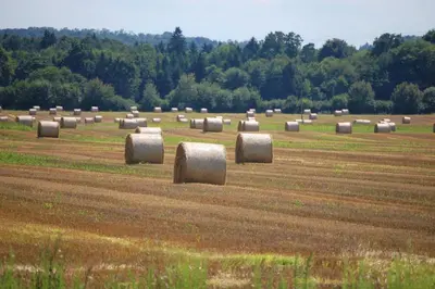 a field full of hay bales in a field at Fado Apartments Gornja Radgona in Gornja Radgona