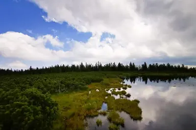 a body of water with trees and clouds in the sky at APARTMA NIKA in Ribnica na Pohorju