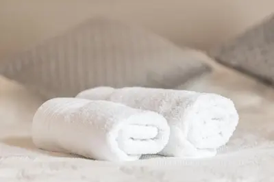 a roll of toilet paper sitting on a bed at Apartma Vila Golf in Rogaška Slatina