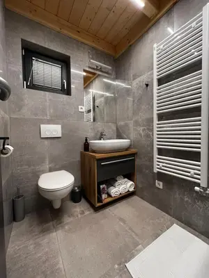a bathroom with a sink and a toilet in it at HOLIDAY HOUSE - River Bača in Most na Soči