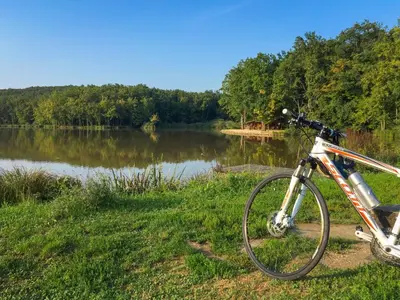a bike parked in the grass next to a lake at Apartma MAX in Moravske Toplice