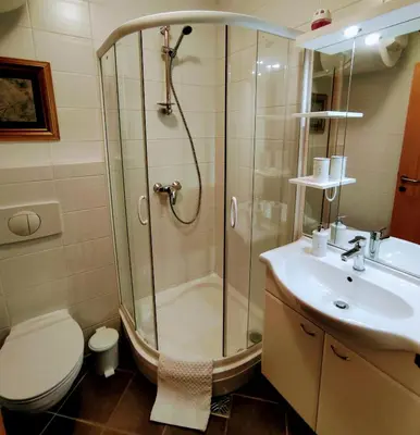 a bathroom with a shower and a toilet and a sink at Apartma MAX in Moravske Toplice