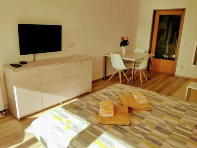 a living room with a bed and a flat screen tv at Apartma MAX in Moravske Toplice