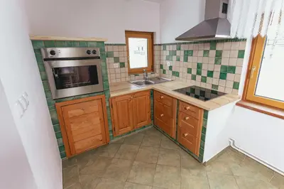 a kitchen with a sink and a stove top oven at Organic Tourist Farm Pri Plajerju in Trenta