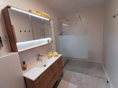 a bathroom with a sink and a shower and a mirror at Apartman PIKY No.10 in Moravske Toplice