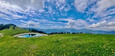 a green hill with a pond in a field of flowers at OTTA Apartments Golte C2 in Mozirska Koča