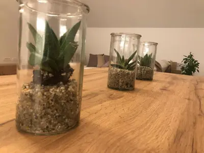 three glass vases with plants in them on a table at Garden House in Kranj