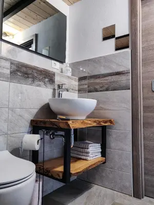 a bathroom with a sink and a toilet at Homestead Zavadlal - Domačija Zavadlal in Komen
