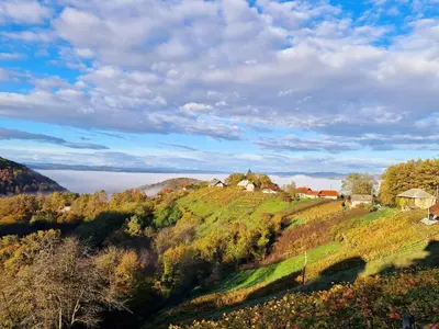 a farm on top of a hill with trees at Vineyard Cottage Sončni grič in Trebnje
