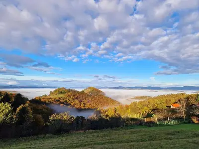 a view of a lake in the middle of a field at Vineyard Cottage Sončni grič in Trebnje