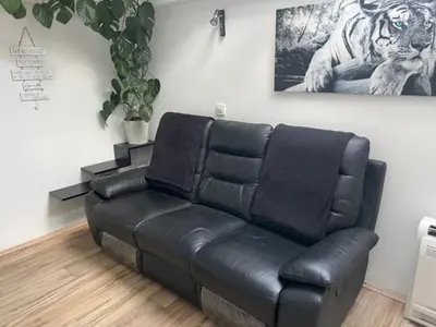 a black leather couch in a living room with a tiger picture at Cute Spot in Ljubljana in Ljubljana