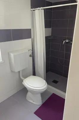 a bathroom with a toilet and a shower at Cute Spot in Ljubljana in Ljubljana