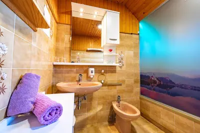 a bathroom with two sinks and a toilet at Farm Stay Trlej in Begunje na Gorenjskem