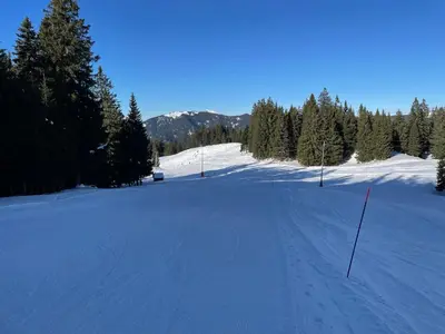 a snow covered field with trees and a mountain at Apartma Lilija Golte in Mozirje