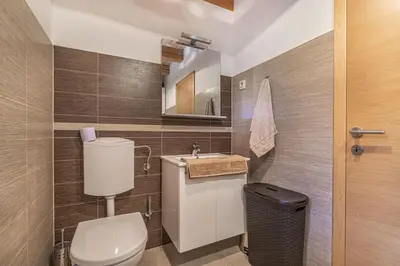 a bathroom with a toilet and a sink and a mirror at House Of Nature With Sauna And Tents - Happy Rentals in Planina pri Sevnici