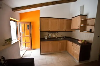 a kitchen with wooden cabinets and an orange wall at Toncevi Eco Estate in Branik