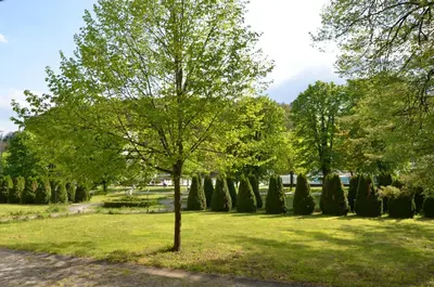 a tree in the middle of a park with trees at Apartments Vektor Vila Golf in Rogaška Slatina