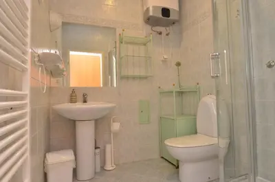 a bathroom with a toilet and a sink and a shower at Apartments Vektor Vila Golf in Rogaška Slatina