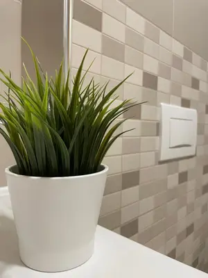 a potted plant sitting on a counter in a bathroom at JZ Apartments - Pohorje in Maribor