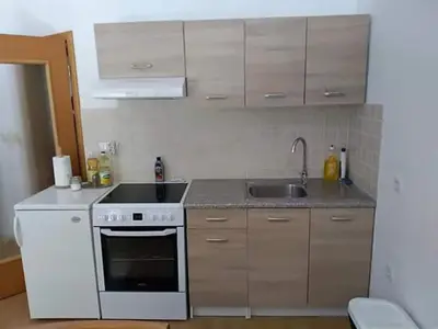 a small kitchen with a stove and a sink at Apartmaji Boštjan Pristavec in Kranjska Gora