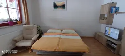 a bedroom with a bed and a chair and a tv at Apartmaji Boštjan Pristavec in Kranjska Gora