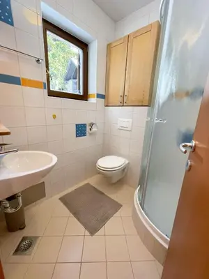 a bathroom with a toilet and a sink and a shower at Apartma Idila in Zreče