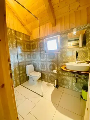 a bathroom with a toilet and a sink at Chalet Sejalec in Lesce