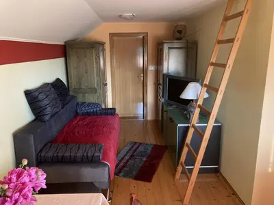a small room with a bed and a ladder at Vineyard Cottage Slanc in Metlika