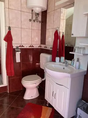 a bathroom with a white toilet and a sink at Vineyard Cottage Slanc in Metlika