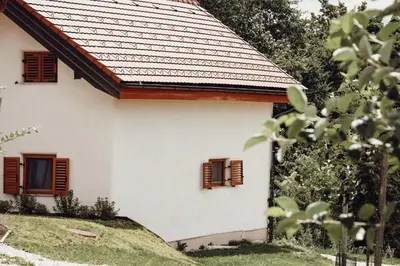 a white house with brown shuttered windows at Ecological farm Makrobios Panonija in Gornji Petrovci