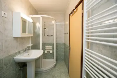 a bathroom with a sink and a shower at Rooms Pekovec Bohinj in Bohinj