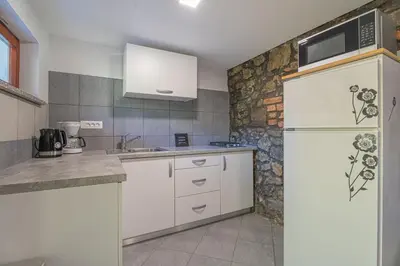 a kitchen with white cabinets and a refrigerator at Vineyard cottage Kolpa Zupančič in Stari Trg ob Kolpi
