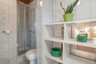 a bathroom with a toilet and a shower at Vineyard cottage Kolpa Zupančič in Stari Trg ob Kolpi