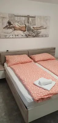 a bedroom with two beds with a painting on the wall at Apartma Sivi žako in Bohinj
