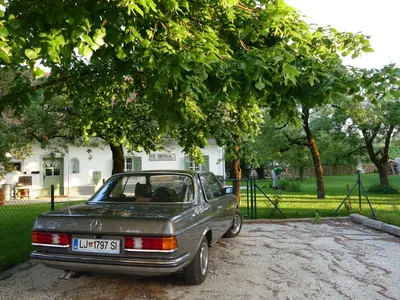 a car parked under a tree in a park at House 1797 - Charm of Slovenian Vintage in Dob