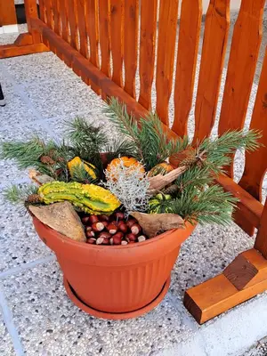 an orange pot of fruit and vegetables on a bench at Apartma Studio Jana in Kranjska Gora