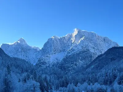 a snow covered mountain with trees in the foreground at Milka Boutique Hotel in Kranjska Gora