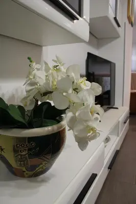 a vase filled with white flowers sitting on a counter at Apartma V&T in Bovec