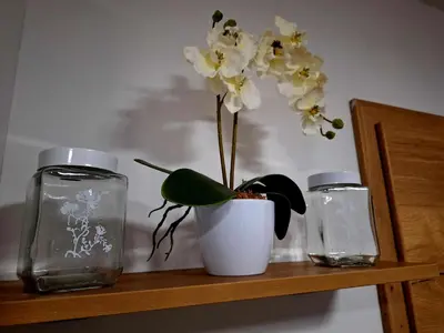 two glass jars and a white potted plant on a shelf at Cherry House in Čatež ob Savi
