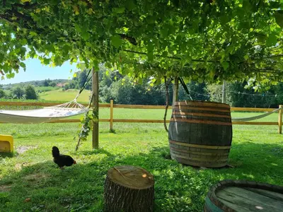 a black bird standing under a tree with a hammock at Turistična kmetija Hiša ob gozdu pri Ptuju in Ptuj