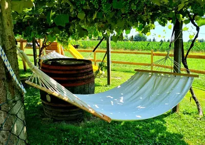a hammock sitting under a tree in a yard at Turistična kmetija Hiša ob gozdu pri Ptuju in Ptuj
