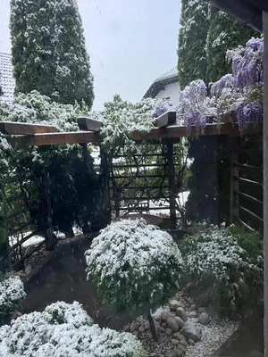 a garden covered in snow with trees and bushes at Pleasant Apartments in Bled