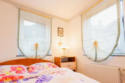 a bedroom with a bed and two windows at DREAM BLED Balcony Apartment in Bled
