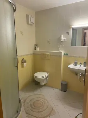 a bathroom with a toilet and a sink at Apartma Moravske Toplice 16 in Moravske Toplice