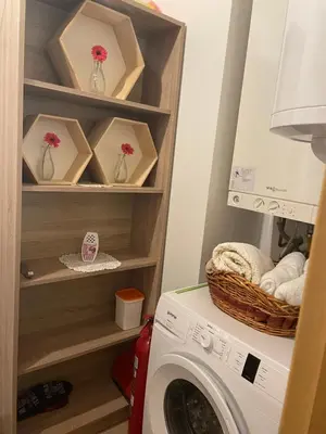 a laundry room with a washer and a washing machine at Apartma Moravske Toplice 16 in Moravske Toplice