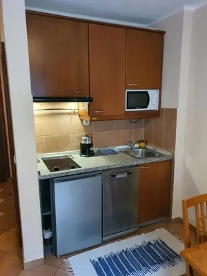a small kitchen with a sink and a microwave at Aparthotel Rosa - apartma 204 in Podčetrtek
